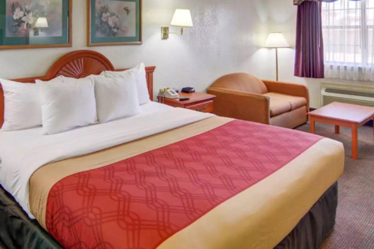 Hotel Super 8 By Wyndham Decatur Texas Extérieur photo